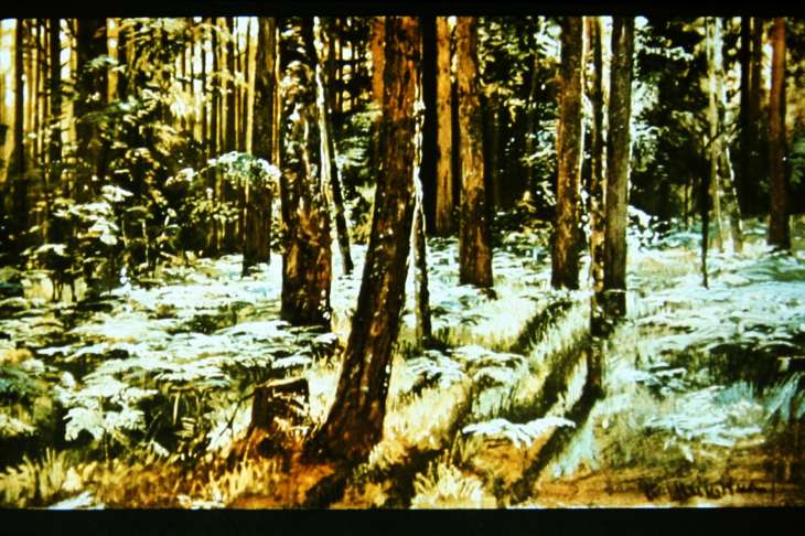 И.Шишкин. Папоротник в лесу. 1883г.