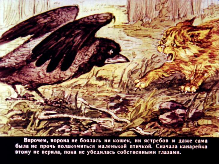 Сказочка про Воронушку - чёрную головушку и про жёлтую птичку Канарейку