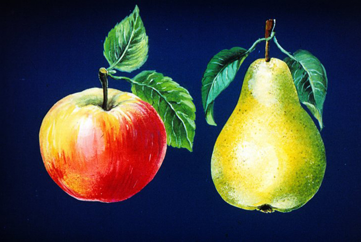 3. Сопоставленные формы: яблоко и груша.