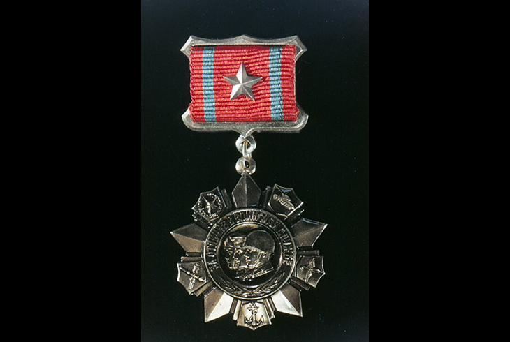 19. Медаль «За отличие в воинской службе»