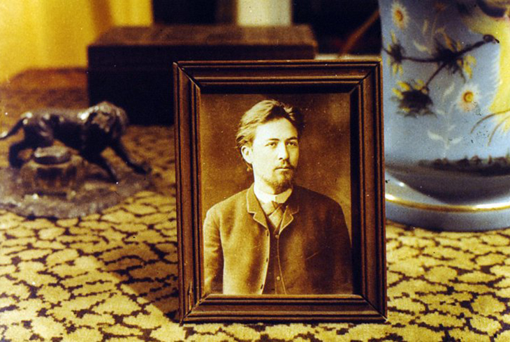 8. Портрет А. П. Чехова в комнате сестры.