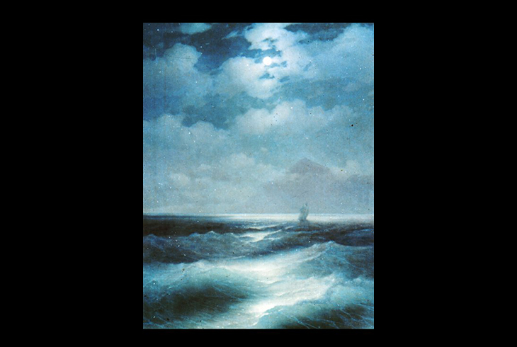 14. Морской вид при луне. 1878.