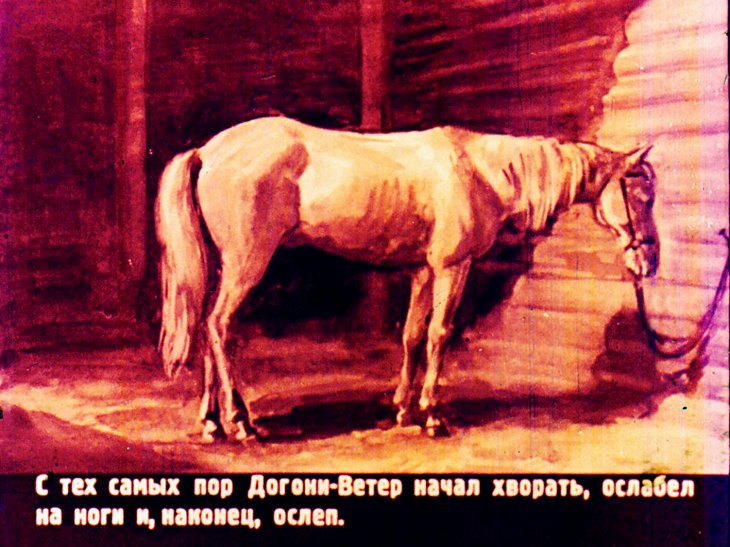 Слепая лошадь