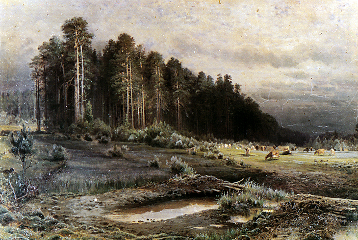 11. Лосиный остров в Сокольниках. Этюд. 1868.