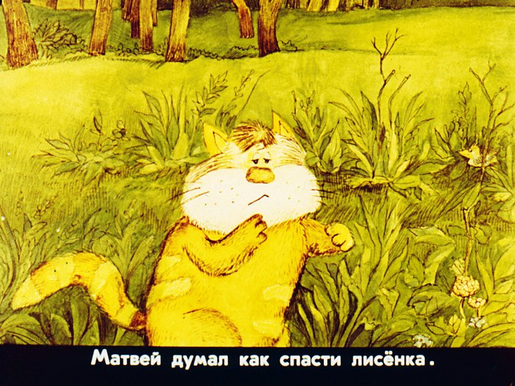 Приключения кота Матвея