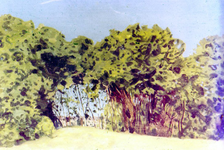 3. Летний пейзаж. 1900 г.