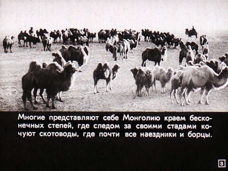 Молодость монгольской земли