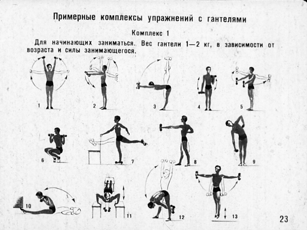 Самостоятельные занятия учащихся физическими упражнениями с эспандерами, резиновыми амортизаторами, гантелями, гимнастическими палками, скакалками. Часть 3