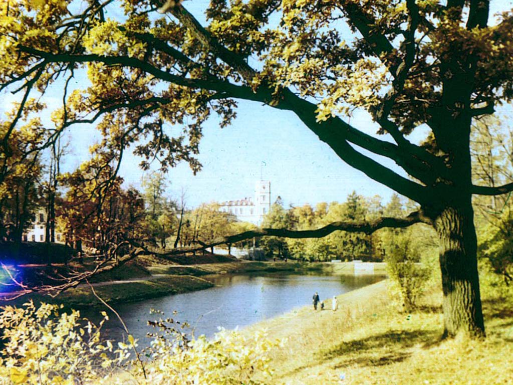 Вид из парка на Гатчинский дворец.
