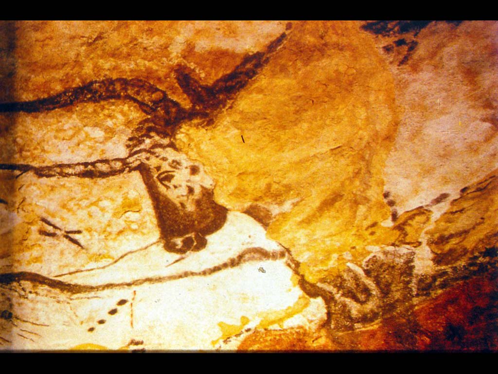 Голова бизона. XV-IX до н. э.  Месопотамия. до н. э.  Месопотамия.  (Фрагмент росписи пещеры Ласко.) Верхний палеолит. Франция.