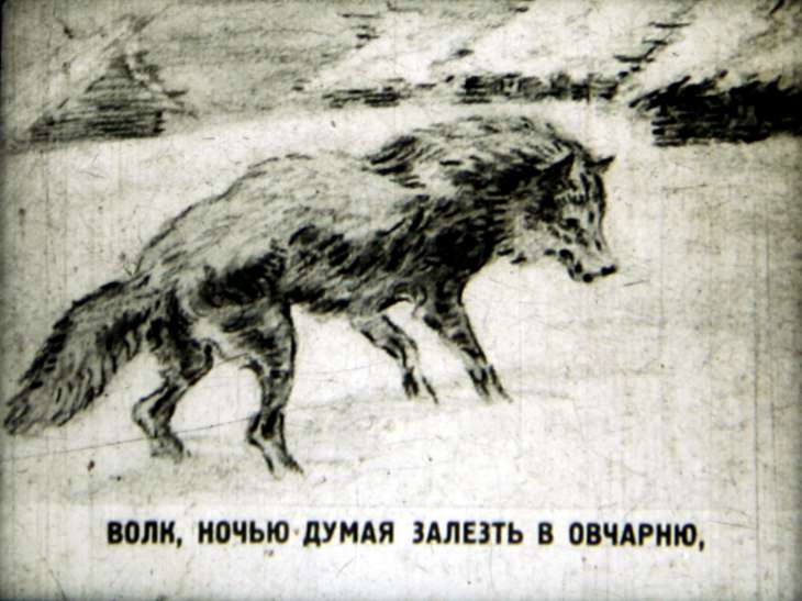 Волк на псарне