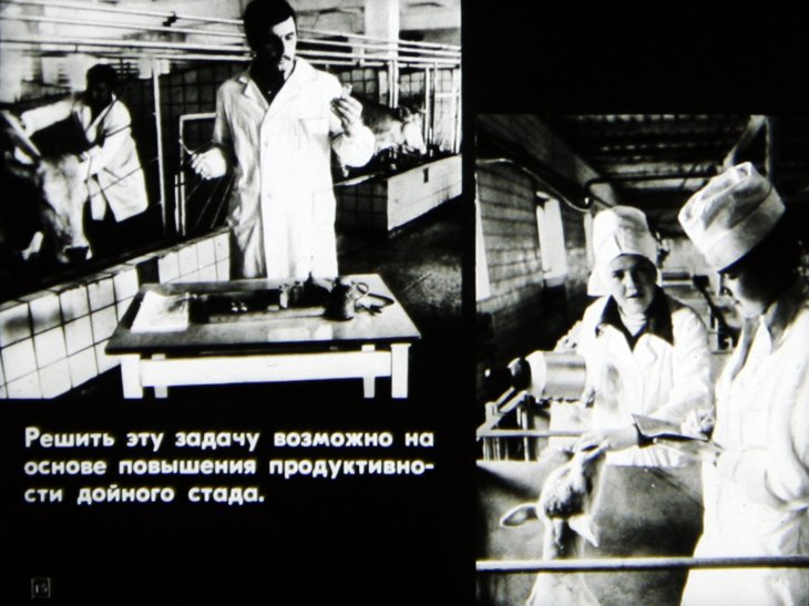 Продовольственная программа СССР в действии