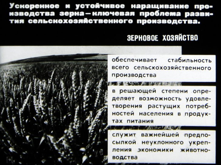 Продовольственная программа СССР в действии
