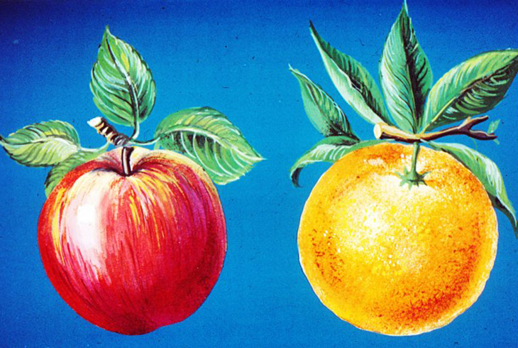 11. Яблоко и апельсин.