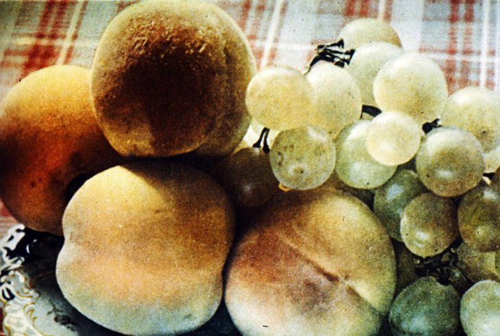 16. Натюрморт с персиками и виноградом.