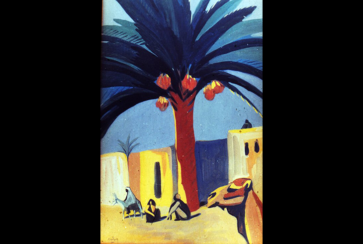 6. Финиковая пальма. Египет. 1911 г.