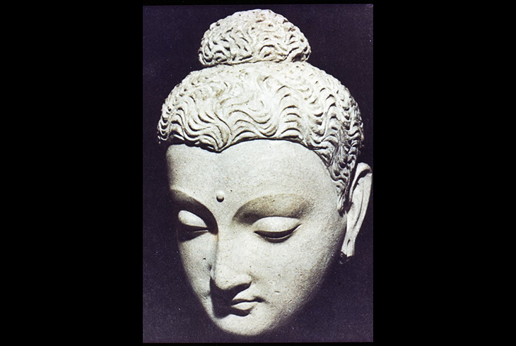 7. Голова Будды из Гандхары. Шмв.