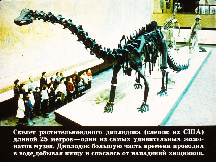 Встреча с Динозавром