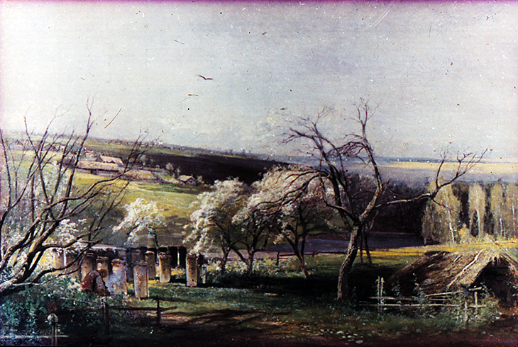 10. Сельский вид. 1867.