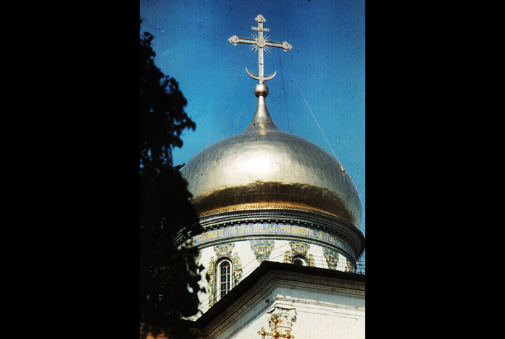 5.	Купол Воскресенского собора. Фрагмент.