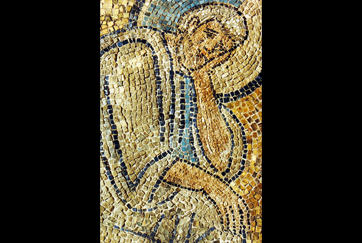 2. Мозаика «Св. Иосиф». VIII в. Фрагмент.
