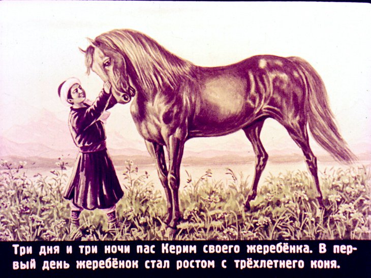 Конь Керима