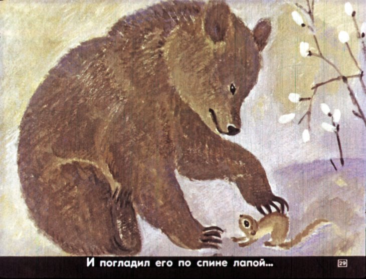 Медведь и бурундук