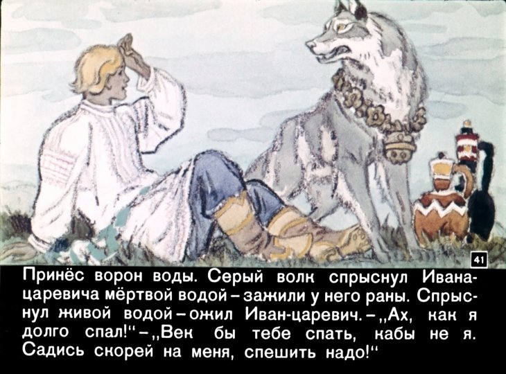 Рассказ серого волка. Сказка о сером волке и Иване. Сказка об Иване царевиче и сером волке народная сказка.