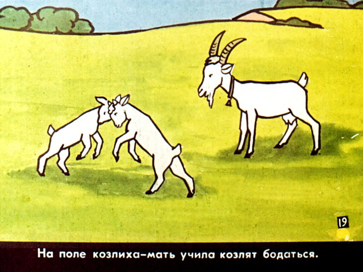 Гиго и коза