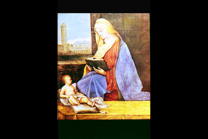 Мадонна с младенцем. Ок. 1505 г. Оксфорд. Музей Эшмол.