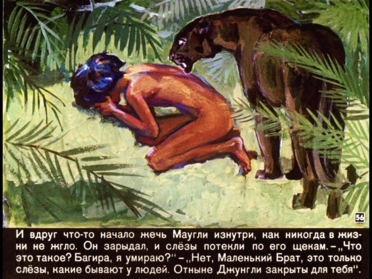 Девочка-маугли Типпи Дегре: с детства понимала язык животных и объехала всю Африку
