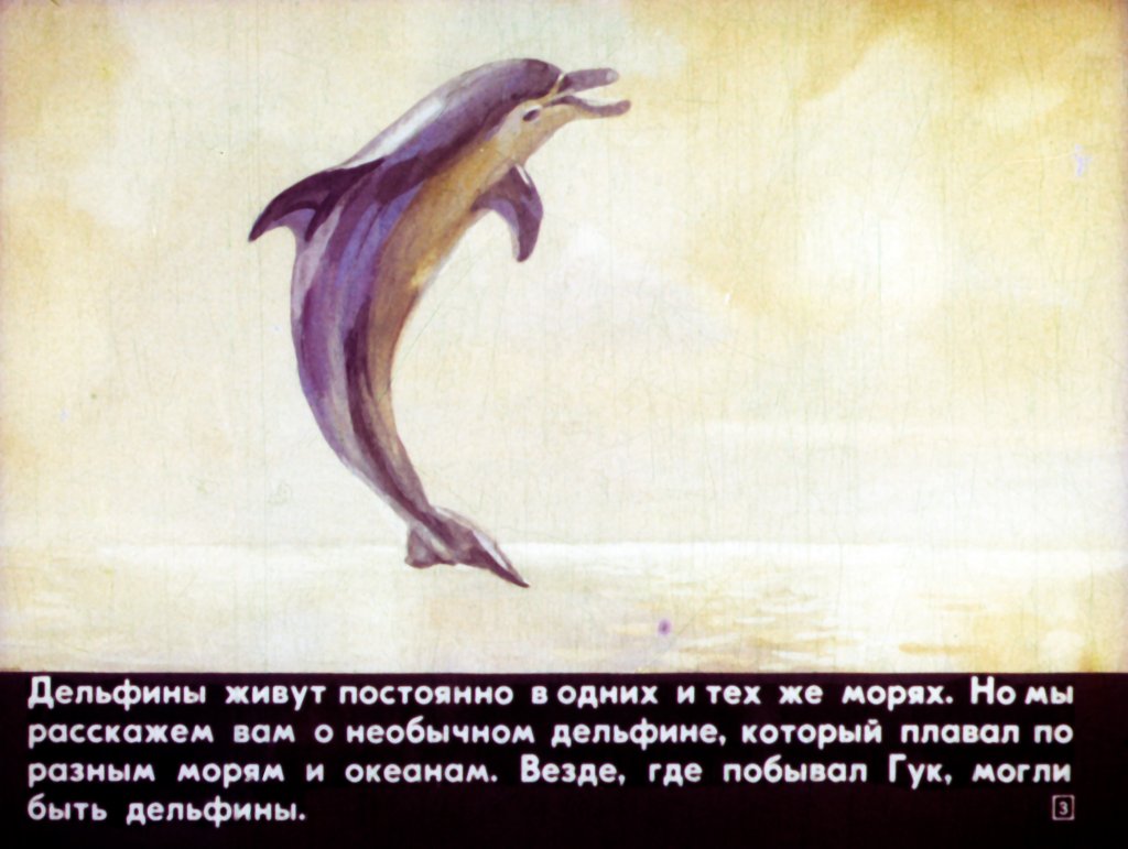 Приключения дельфина Гука