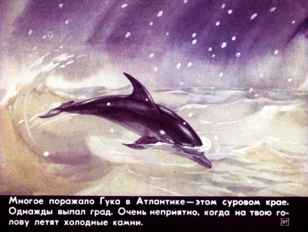 Приключения дельфина Гука