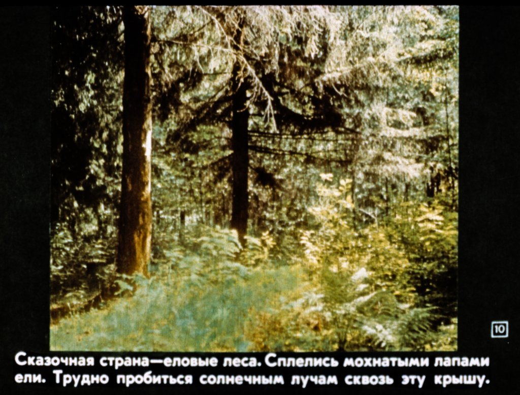 Картины природы и труда в лесной полосе