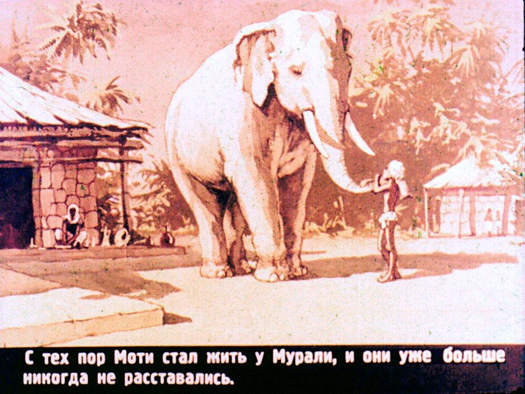 Маленький погонщик слонов