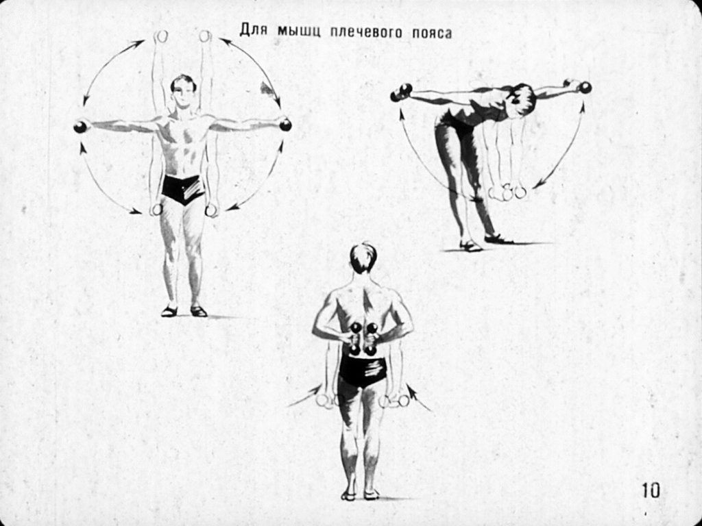 Самостоятельные занятия учащихся физическими упражнениями с эспандерами, резиновыми амортизаторами, гантелями, гимнастическими палками, скакалками. Часть 3
