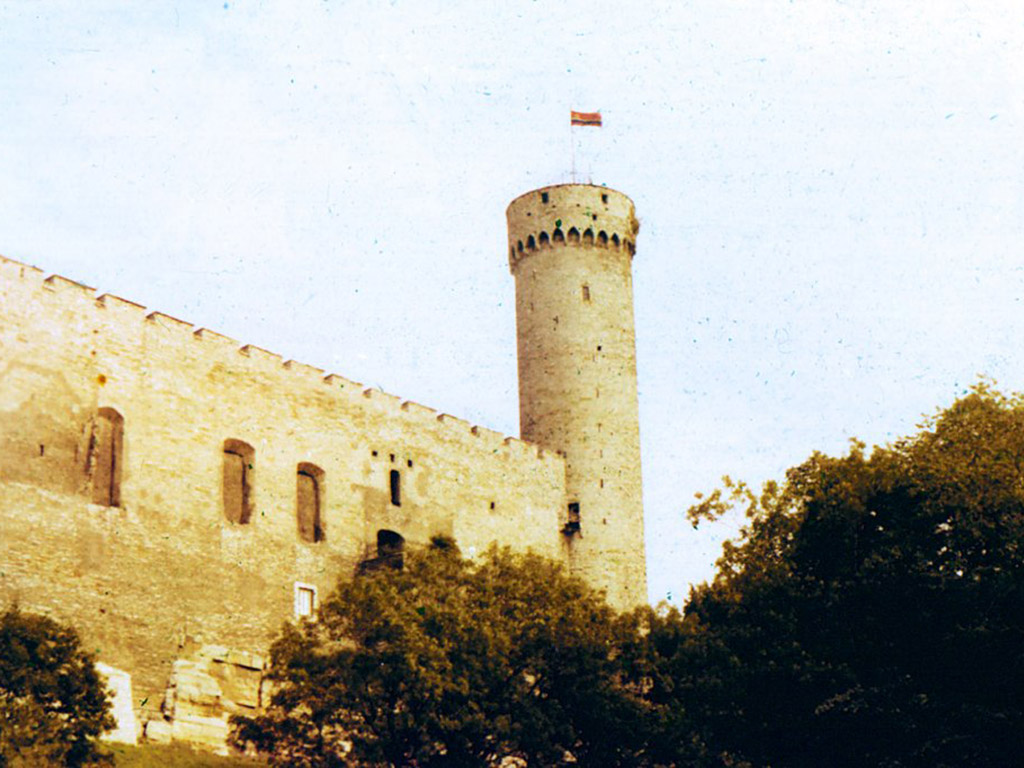 «Самый высокий мужчина в Таллине так говорят о башне «Длинный Герман» жители города