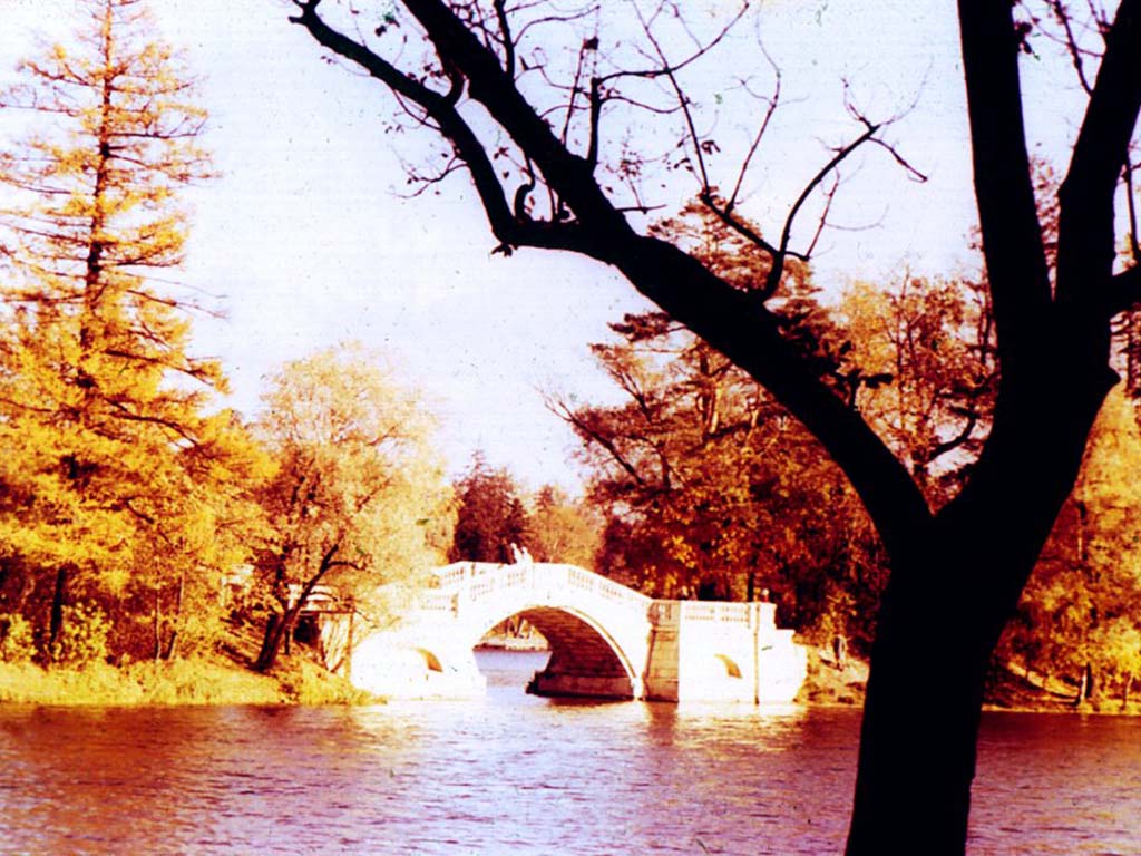 Горбатый мостик на Длинном острове в парке. 1793. Арх. В. Бренна.
