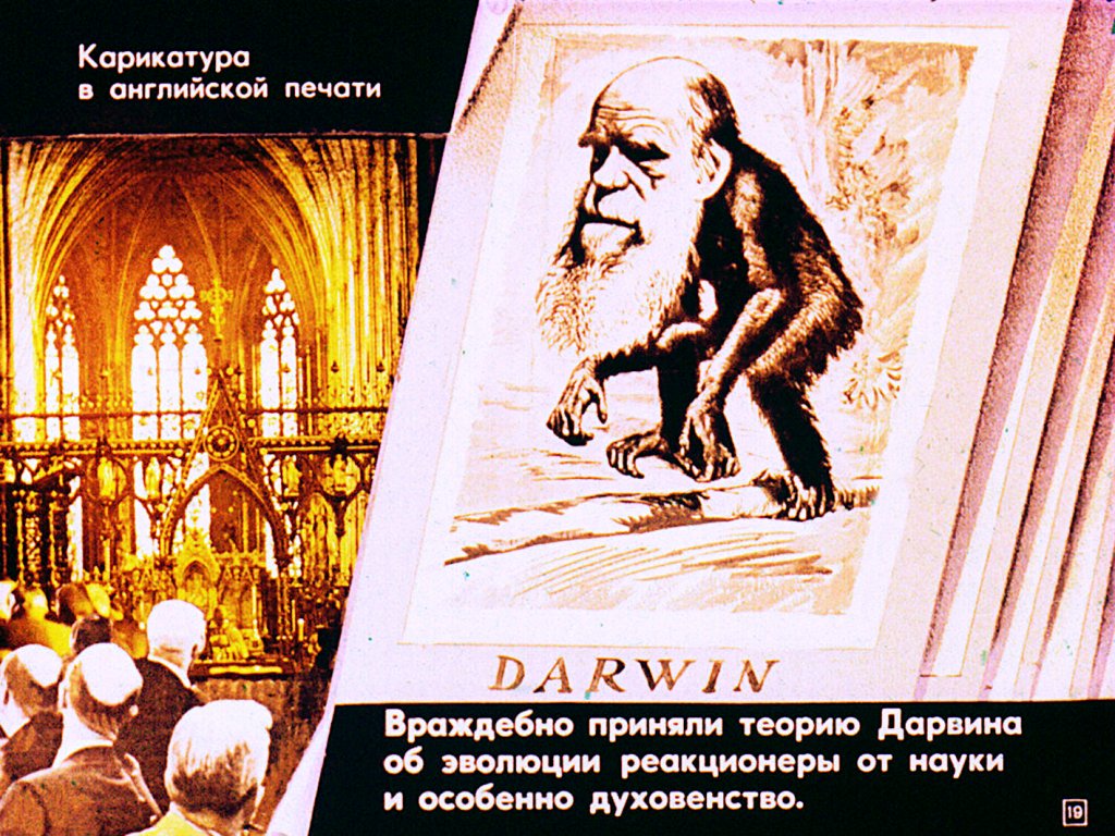 Жизнь и деятельность Чарлза Дарвина
