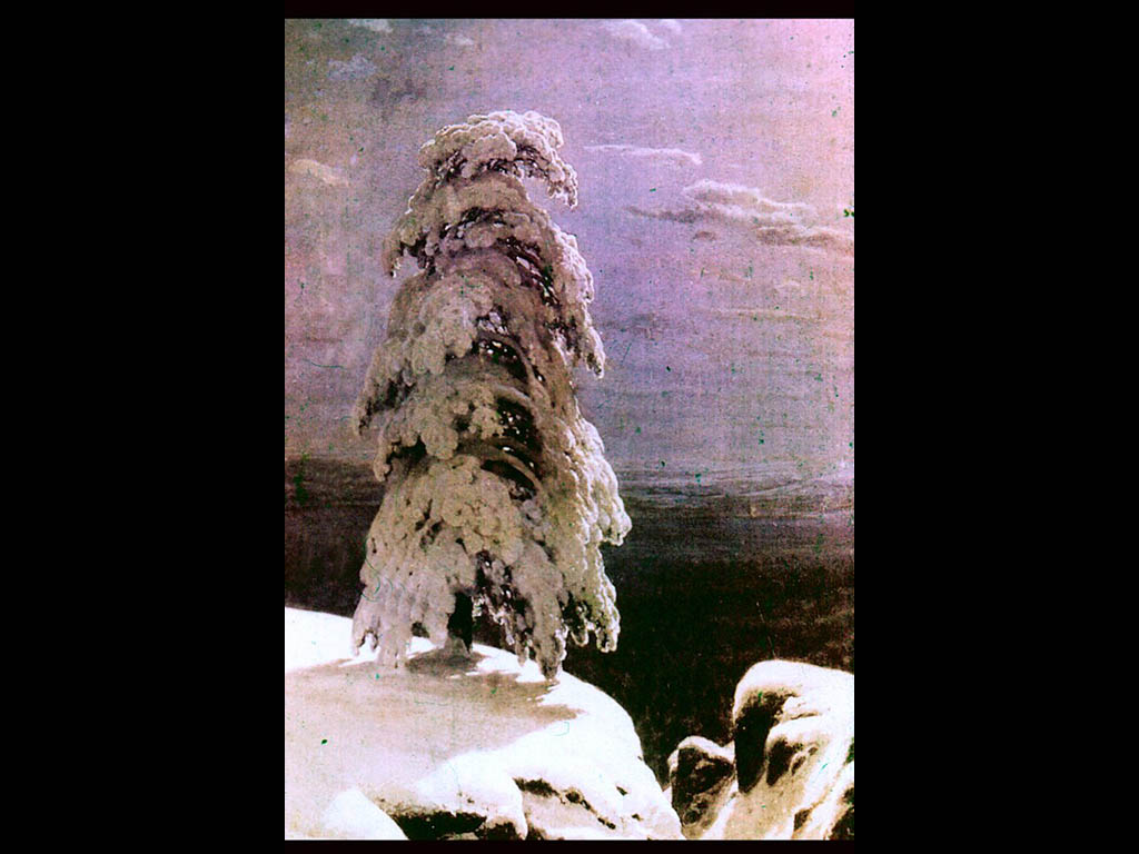 И. И. Шишкин. «На севере диком». 1891. Киевский музей русского искусства