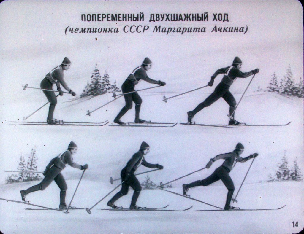 Элементы передвижения на лыжах