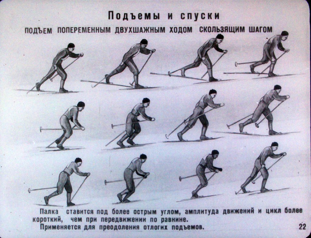 Элементы передвижения на лыжах. Техника передвижения на лыжах. Упражнения технику передвижения на лыжах. Основные элементы техники передвижения на лыжах. Техника передвижения на лыжах схема.
